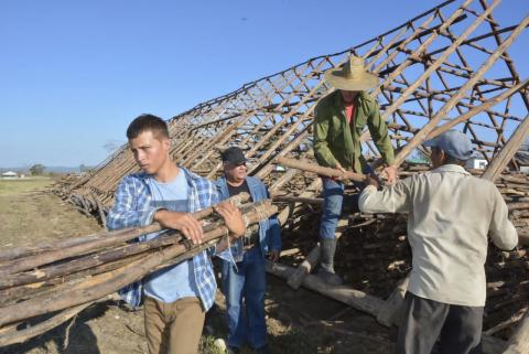 Cooperativa de Producción Agropecuaria (CPA) «Carlos Lóriga»