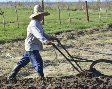 Cooperativa de Producción Agropecuaria (CPA) «Carlos Lóriga»