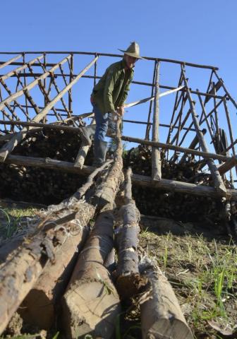 Cooperativa de Producción Agropecuaria (CPA) «Carlos Lóriga»