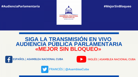Audiencia Pública Parlamentaria Audiencia Pública Parlamentaria