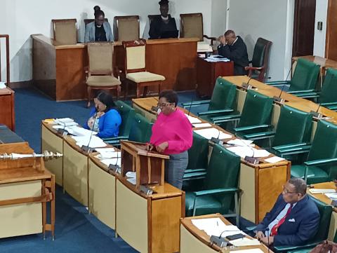 Cámara de Representantes del Parlamento de Jamaica aprueba resolución contra el bloqueo Cámara de Representantes del Parlamento de Jamaica aprueba resolución contra el bloqueo