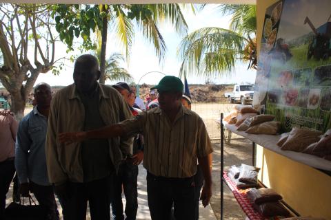 Constata Esteban Lazo programa de producción arrocera en la provincia Granma Constata Esteban Lazo programa de producción arrocera en la provincia Granma