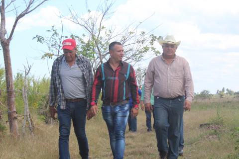 En la finca La Milagrosa: el «milagro» es trabajar 