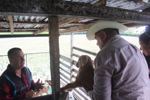 En la finca La Milagrosa: el «milagro» es trabajar En la finca La Milagrosa: el «milagro» es trabajar
