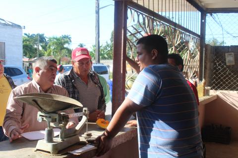 En la finca La Milagrosa: el «milagro» es trabajar En la finca La Milagrosa: el «milagro» es trabajar