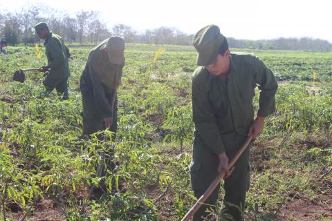 En la agricultura, debemos hacer mucho más En la agricultura, debemos hacer mucho más