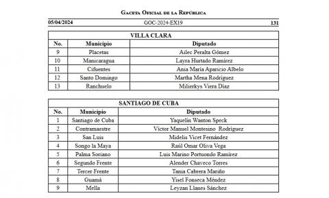 diputados designados