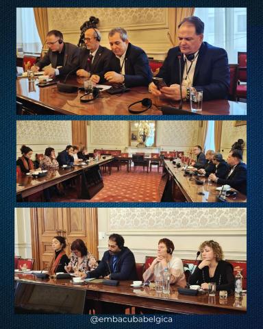 Diputados cubanos sostuvieron encuentro con el Grupo Interparlamentario Bélgica-Cuba en el Senado belga