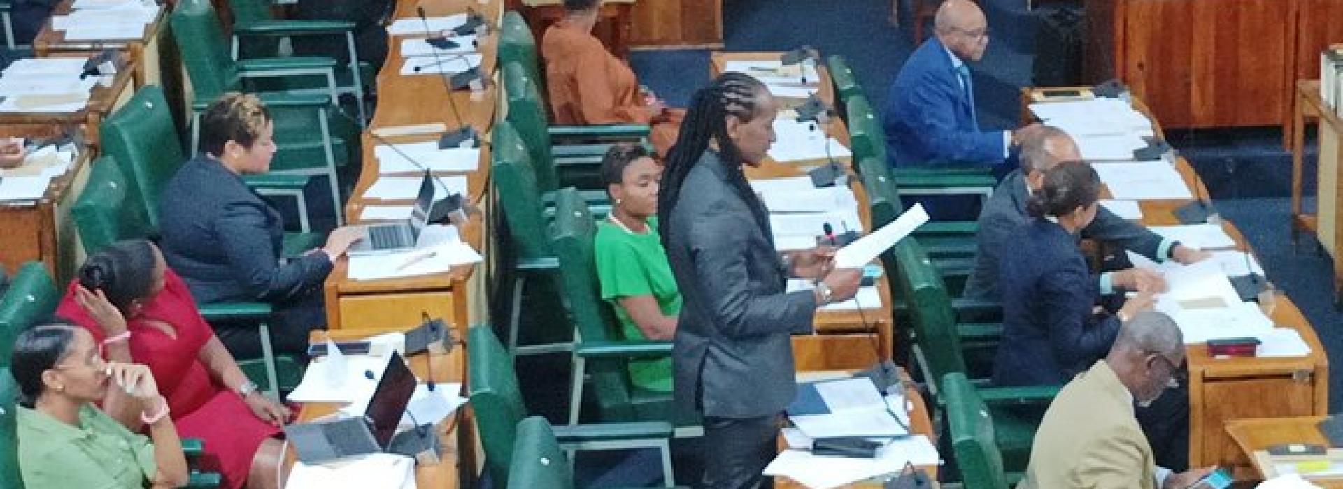 Cámara de Representantes del Parlamento de Jamaica aprueba resolución contra el bloqueo