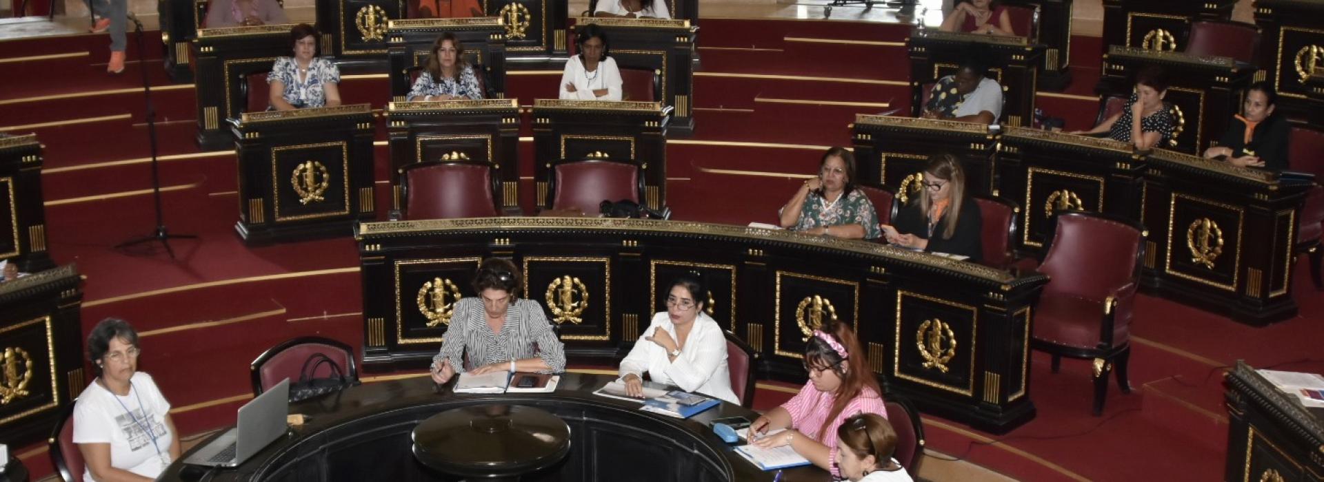 Taller Parlamentario sobre la implementación de la Estrategia integral para la prevención y atención a la violencia de género y en el escenario familiar