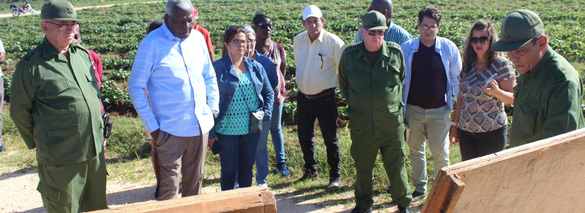 En la agricultura, debemos hacer mucho más