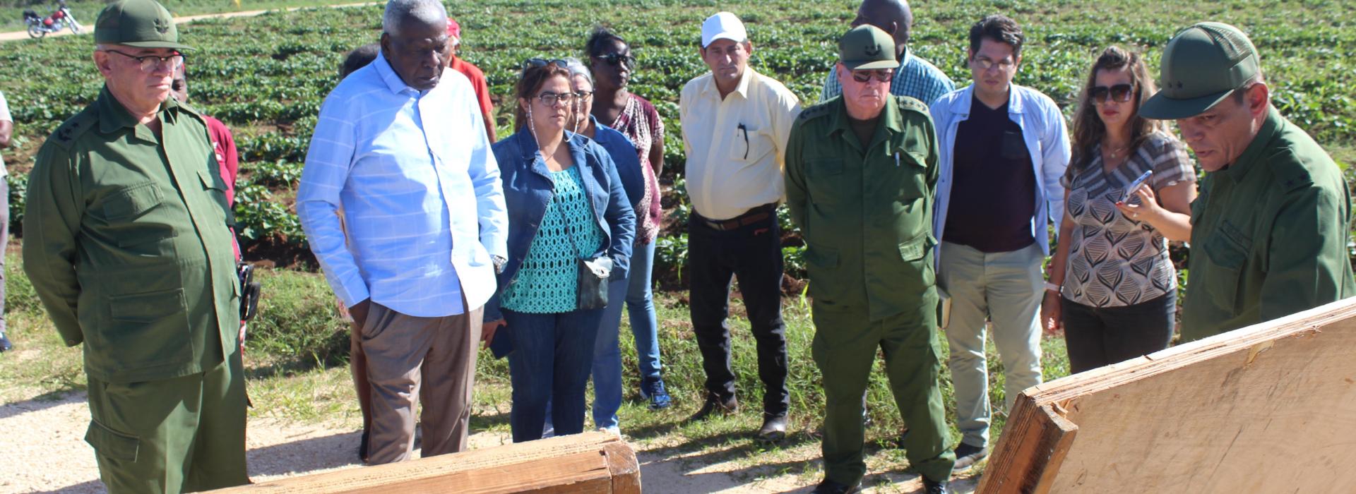 En la agricultura, debemos hacer mucho más 