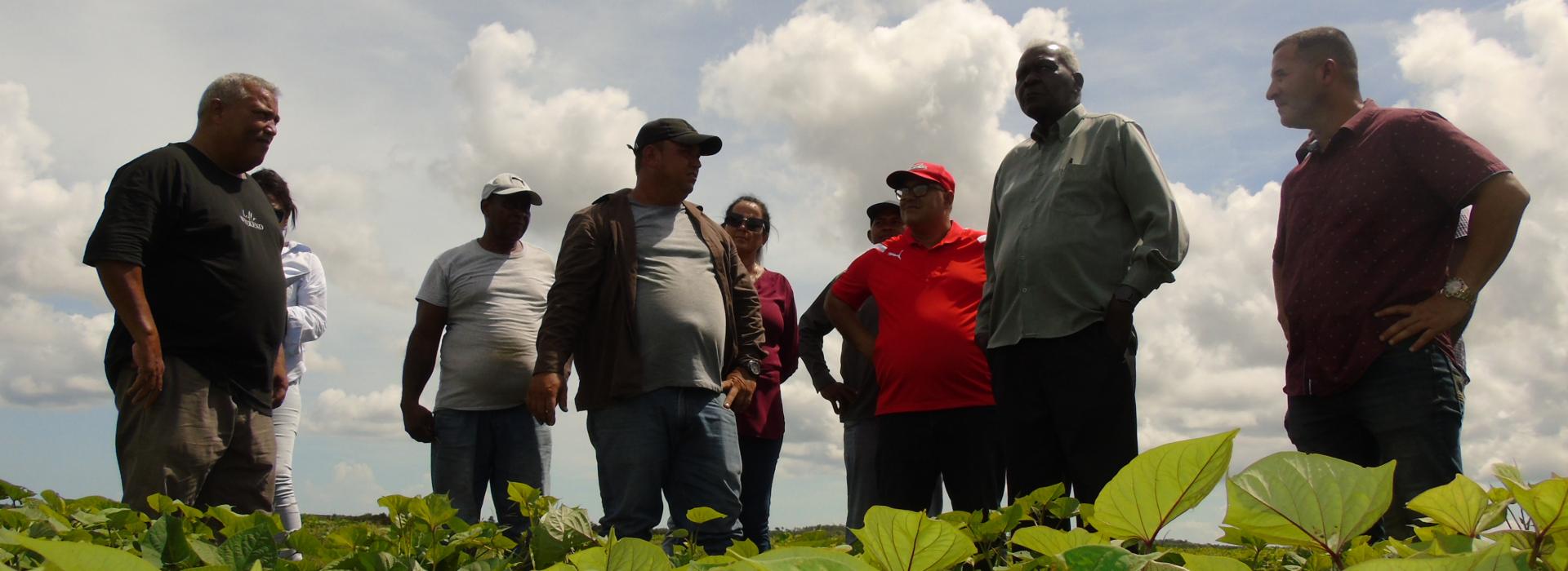 Que la Isla de la Juventud sea referente en el autoabastecimiento municipal